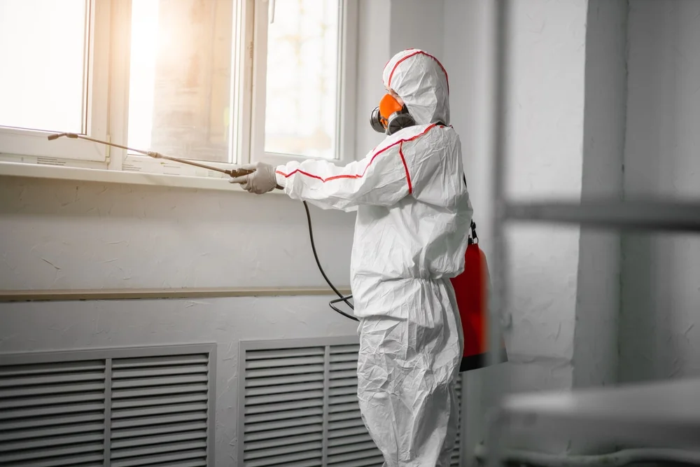 Professional mold remediation services in Middlebury, CT